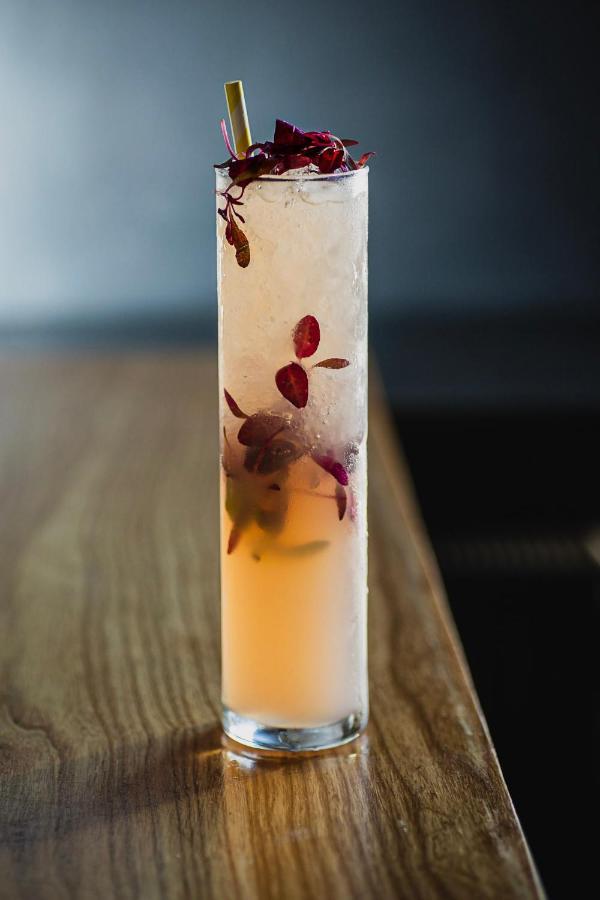 阿尔布酒店 什鲁斯伯里 外观 照片